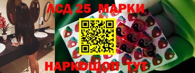 гашик Кулебаки