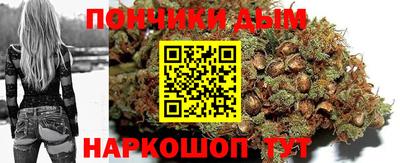 гашик Кулебаки